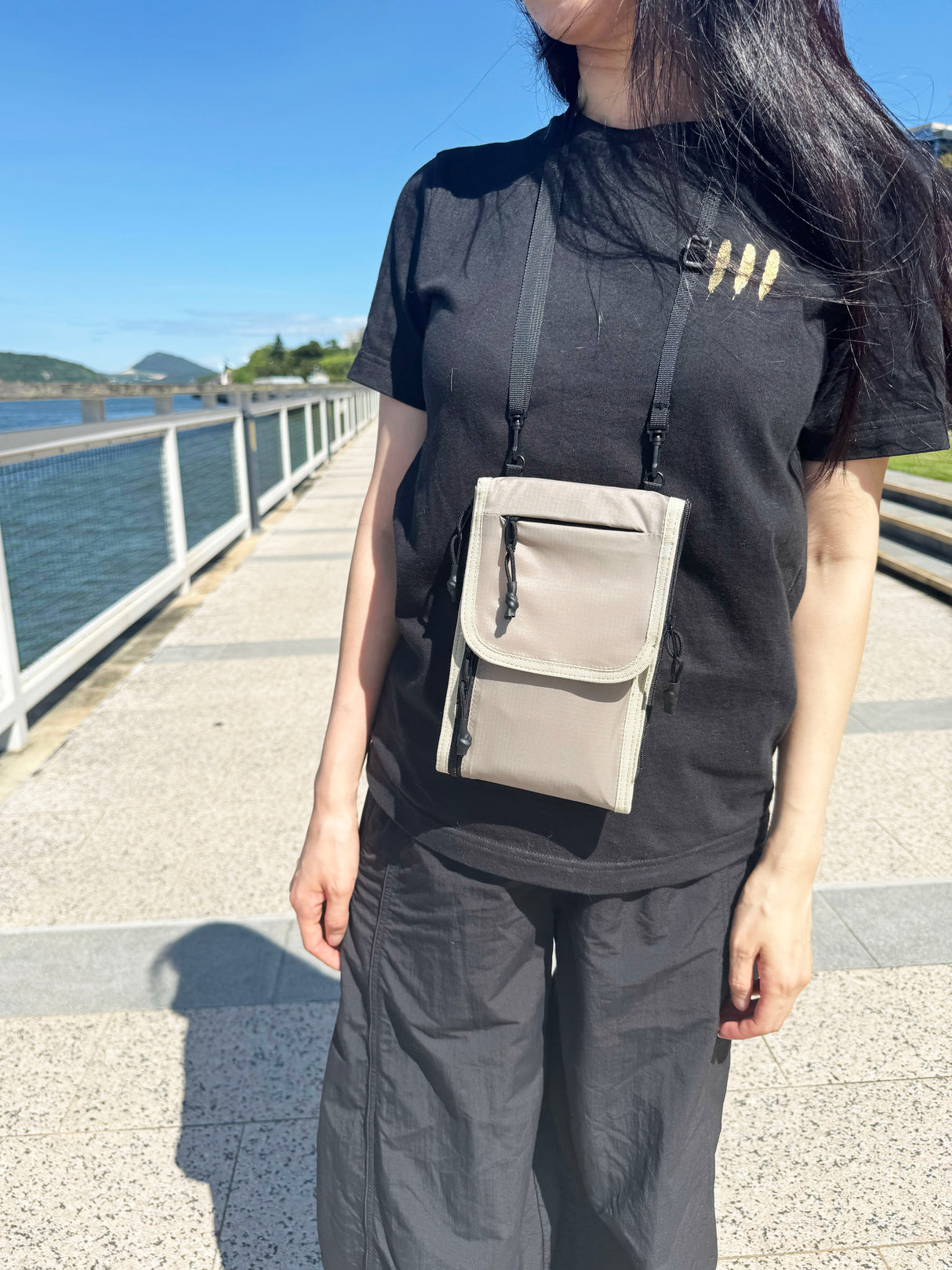 Travel Neck Wallet