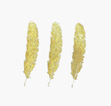 <A 001a11> Fungolia 3rd Anniversary Special Edition Gold Feather Tee (WHITE)